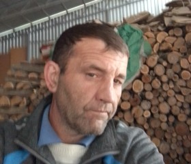 Viktor, 48, Poputnaya