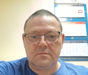 Андрей Проворов, 51 год, Ростов-на-Дону