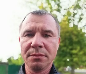 Павел Донсков, 50 лет, Подольск
