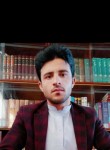 Ahmad wali Mirza, 25 лет, شیراز