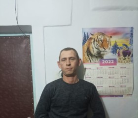 Vladimir, 31 год, Bekobod