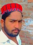 Shahzaib, 23 года, سیالکوٹ
