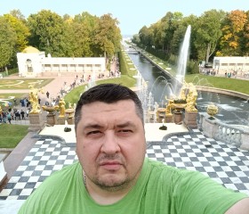 Алексей, 47 лет, Зеленогорск (Ленинградская обл.)