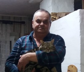 Михаил, 67 лет, Пикалёво