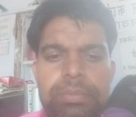 vikki, 33 года, New Delhi