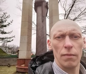 Владимир, 42 года, Покров