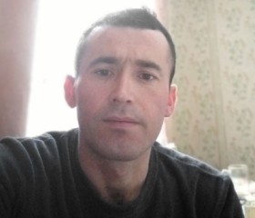 Шер, 31 год, Салехард