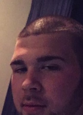 Dimitri, 28, Netherlands, Hendrik-Ido-Ambacht