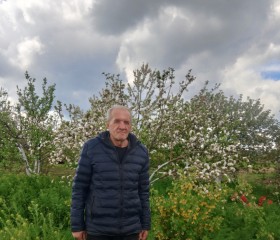 Konstantin, 60, Rostov-na-Donu