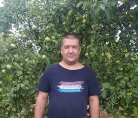 Дмитрий, 40 лет, Родники (Ивановская обл.)