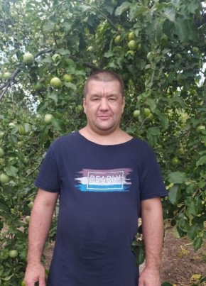 Дмитрий, 40, Россия, Родники (Ивановская обл.)