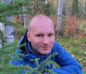 Дмитрий, 44 года, Апатиты
