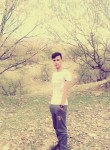 ahmad, 26 лет, شیراز