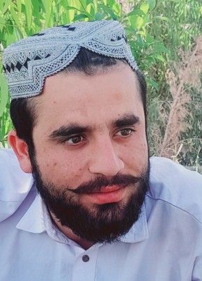 فرید, 18, جمهورئ اسلامئ افغانستان, هرات