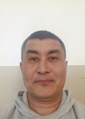 Ренат, 44, Россия, Терекли-Мектеб