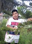 Cesar  mendoza, 31 год, Tarija