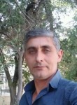 Reshad, 48  , Baku