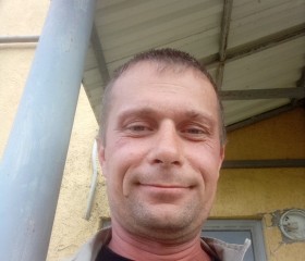 Роман Крутько, 42 года, Воронеж