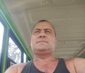 Анатолий, 51 год, Боровск