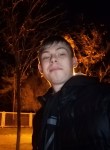 Леонид , 26 лет, Гатчина