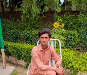 Malik Shahzad, 20 лет, مُلتان‎