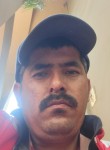 Lalo, 33 года, Ensenada