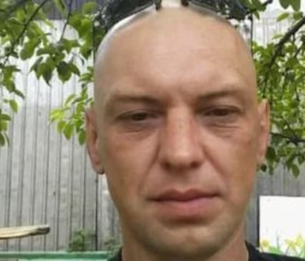 Андрей, 43 года, Звенигород