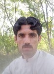 Azmat Afridi, 28 лет, پشاور