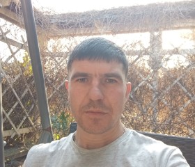 Dmitri, 36, Berlin