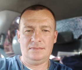 Андрей, 44 года, Высоковск