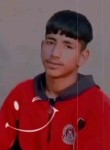 Mohd shafi, 18 лет, Kathua