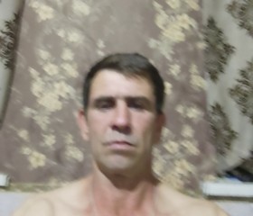 Гена, 44 года, Краснодар