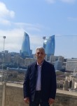 Rahil Mammedov - Свободный