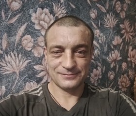 Андрей, 44 года, Киселевск