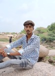 Mahesh Thakor, 20 лет, Visnagar