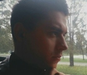 Дмитрий, 31 год, Сестрорецк