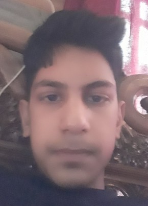 Musaib ...., 19, India, Srinagar (Jammu and Kashmir)