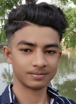 Prince, 19 лет, New Delhi