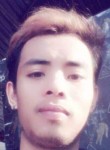 sharwin, 25 лет, Bayawan