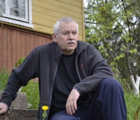 Анатолий, 75 лет, Великие Луки