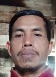 Erlalu Suhardi, 30 лет, Banjarmasin