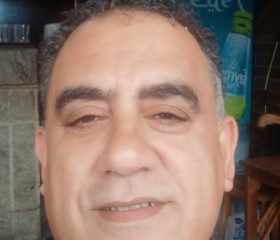 Momen Fekry, 43 года, بور سعيد
