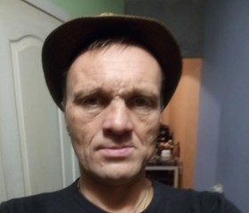 Евгений, 48 лет, Вышний Волочек