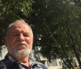 Слава, 69 лет, Томск