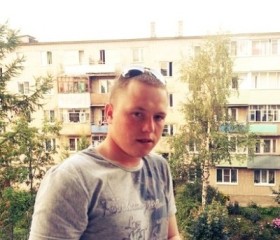 Роман, 29 лет, Вельск