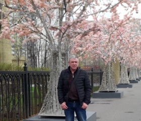 Андрей Науменко, 49 лет, Лобня