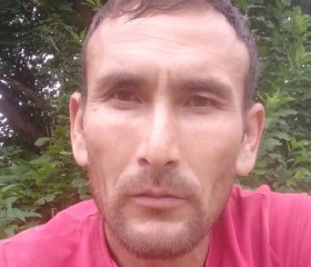 Жалил, 42 года, Белёв