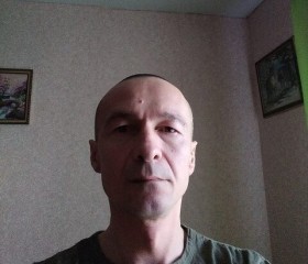 Александр, 44 года, Воронеж