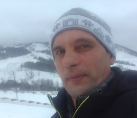 Степан, 44 года, Новосибирск
