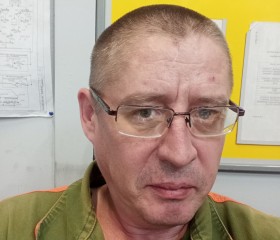 Данил, 43 года, Зеленогорск (Красноярский край)